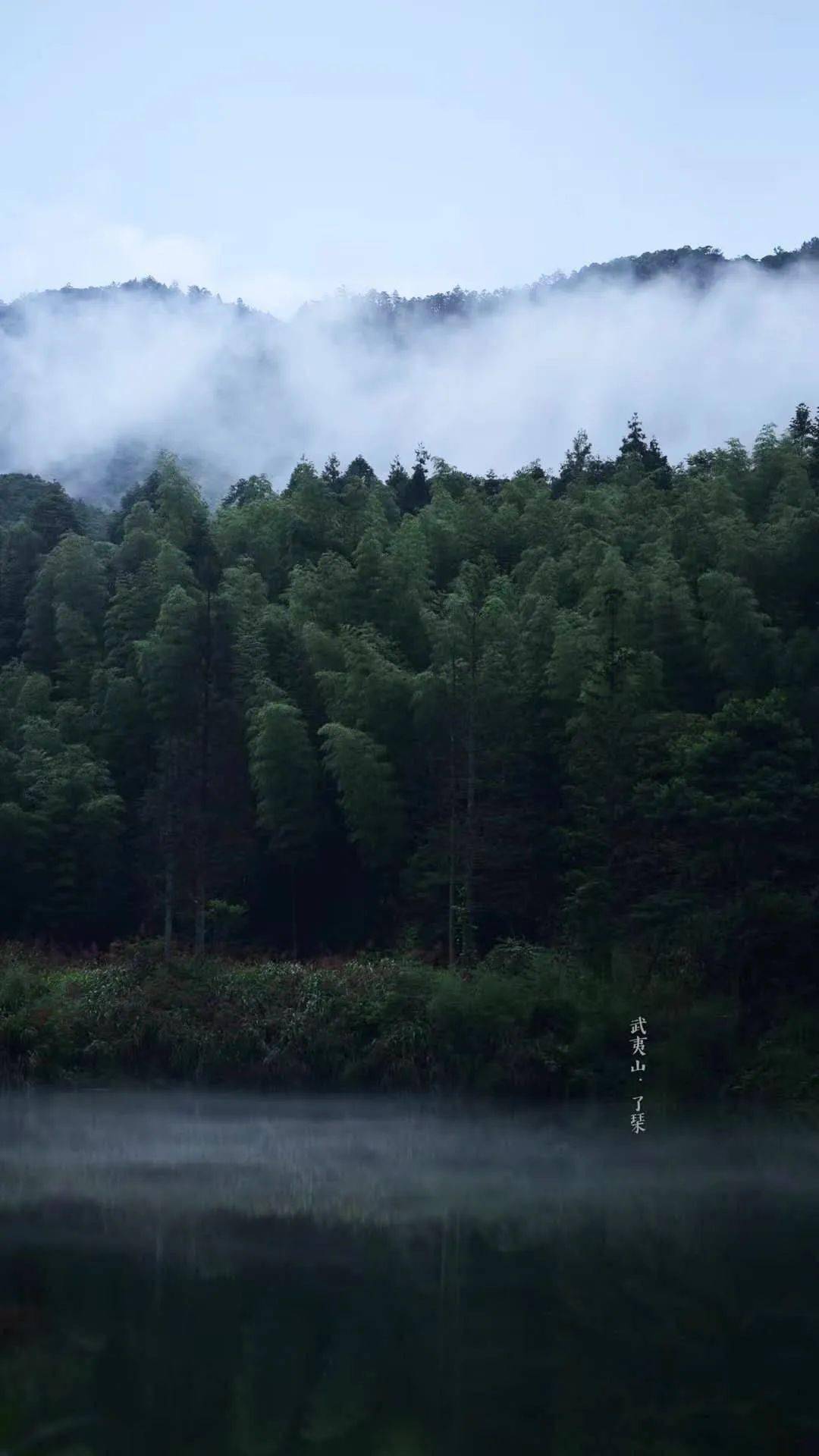 武夷山有多少人口_武夷山纪念币有什么用(3)