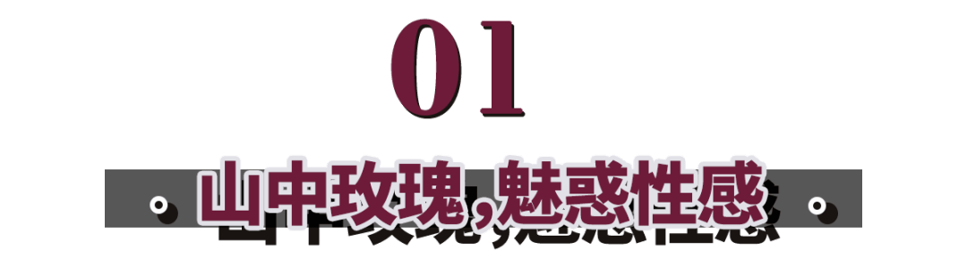 露点|宝姐：春晚露点爆红后，她却回村当村姑？归来仍是铿锵玫瑰！