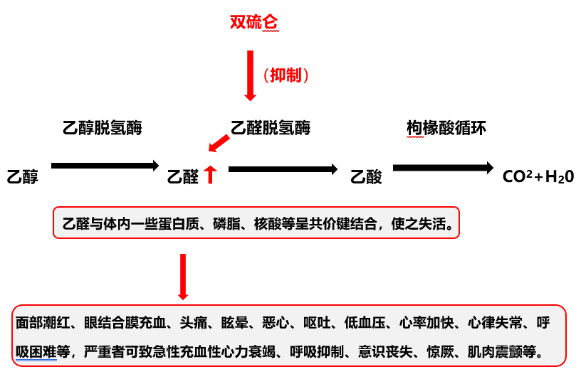 干货双硫仑样反应的应急处置及相关知识