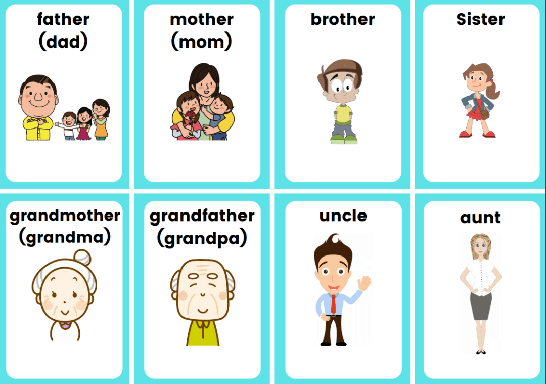 3. family members flashcards 家庭成员闪卡