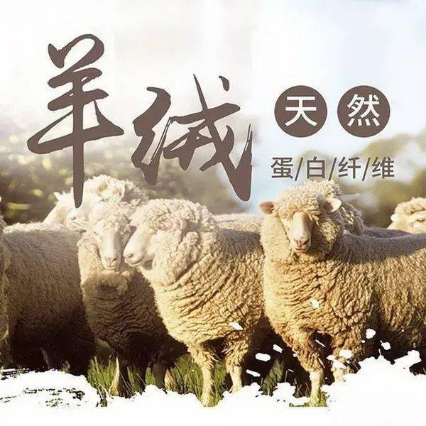 服饰|名企|四大品牌、六大系列产品，青岛浩尔服饰第三次参加SIUF！