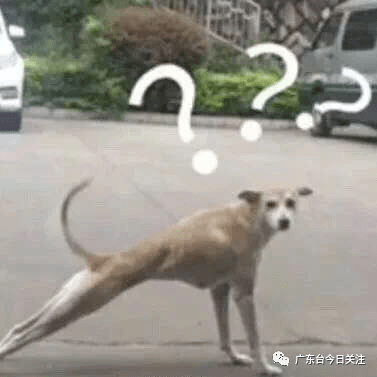 全程|心疼车子！9年驾龄老司机，全程一档跑高速跨两省……