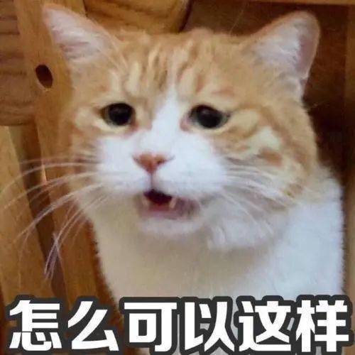 童某某|捡到手机不归还且将微信里钱“偷走”，获刑！