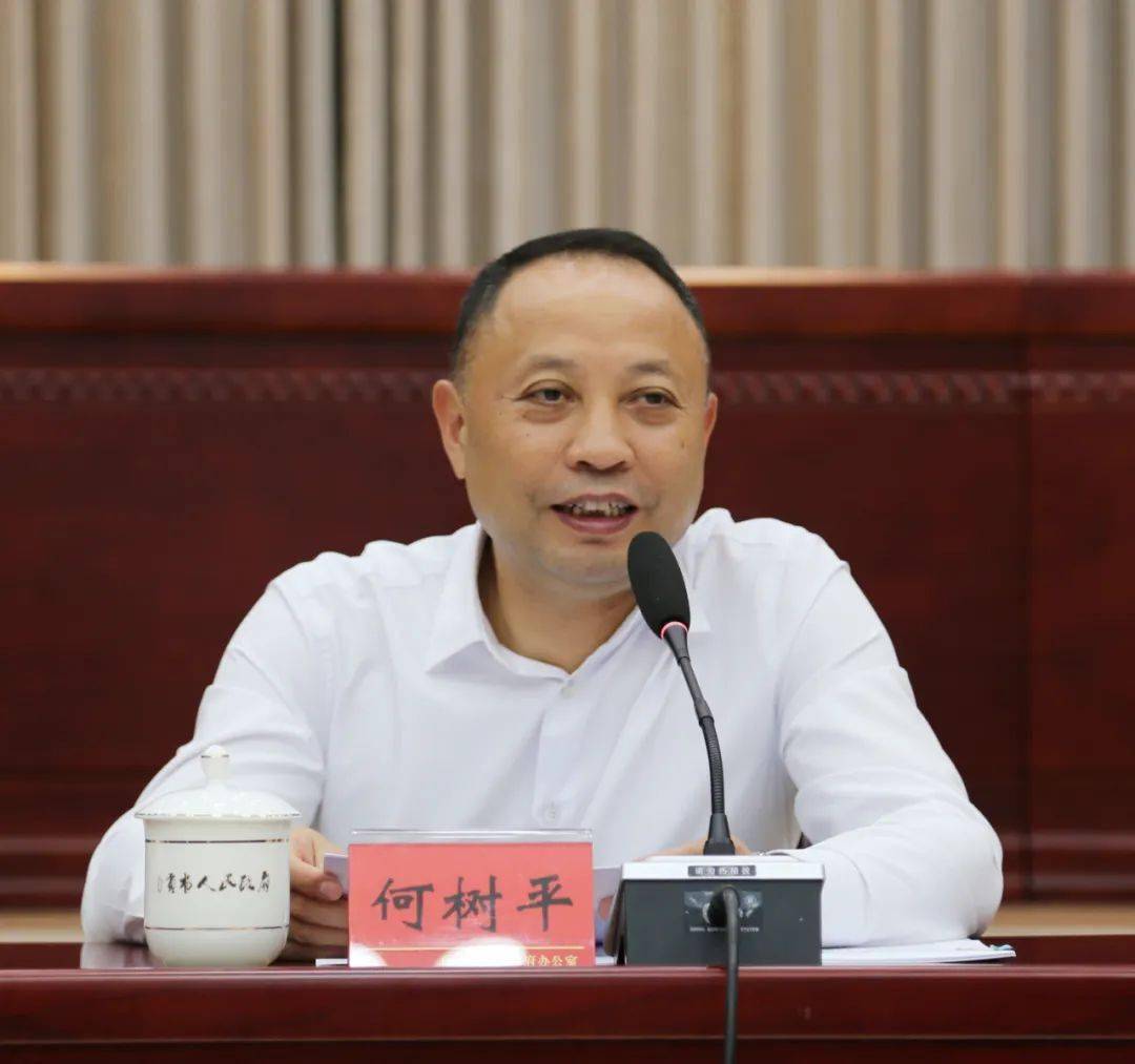 何树平:坚定发展信心抢抓重大机遇 主动服务企业提升营商环境