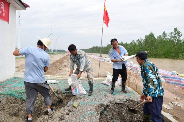 新洲|外出务工人员返乡战洪记