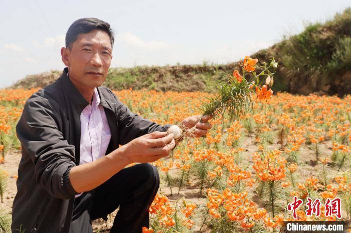 张海山|青海“光辉村”迎“光辉时代”：从“广种薄收”到特色种植