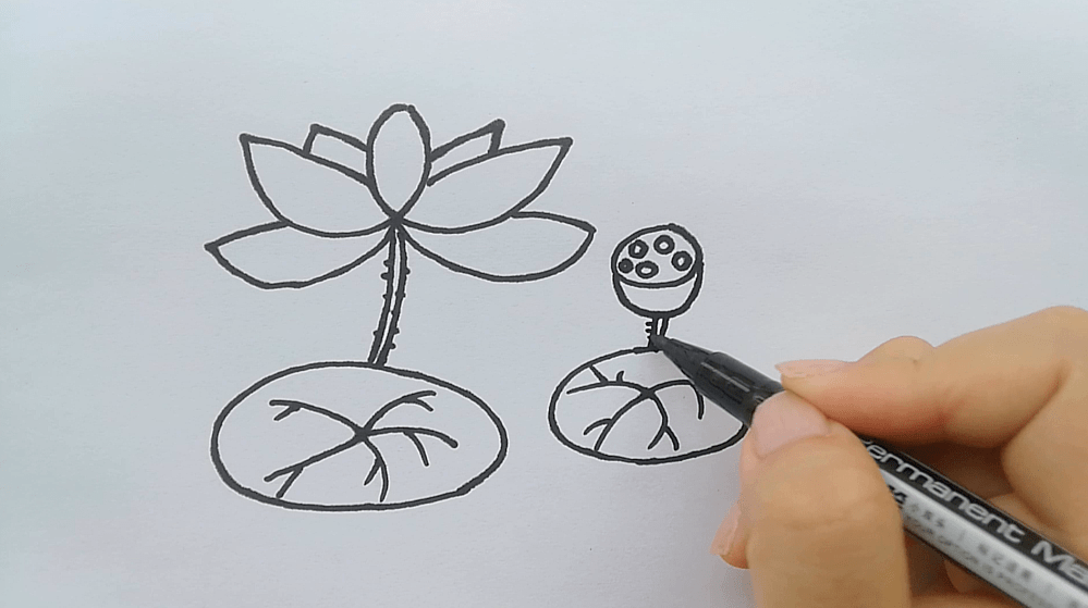 学画画 l 创意画 - 这样画荷花是不是很特别