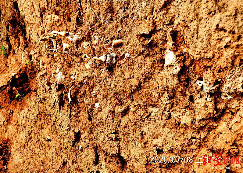 长平之战|山西发现疑似长平之战尸骨坑：尸骨曾被收购做饲料 现拟建国家文化公园