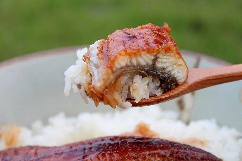 鳗鱼|我帮你们找到了！！！6款无限回购的网红零食