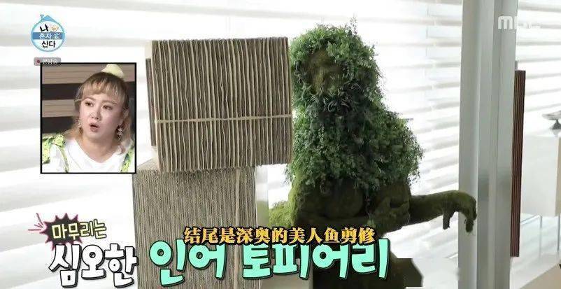 中韩|顶流男神58亿独居豪宅大曝光，中韩网友全傻眼：猫也有独卫？！