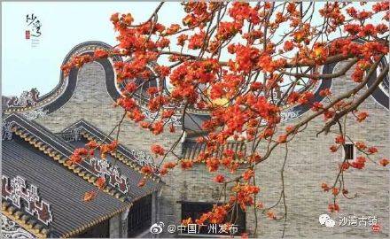 古镇|好消息！今年暑假这些人免费游沙湾古镇