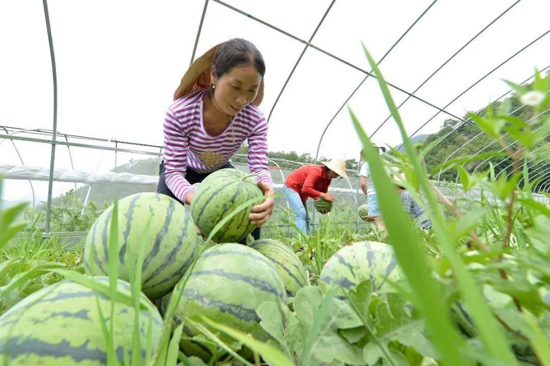 通辽保康多少人口_保康聚龙山海拔是多少(2)