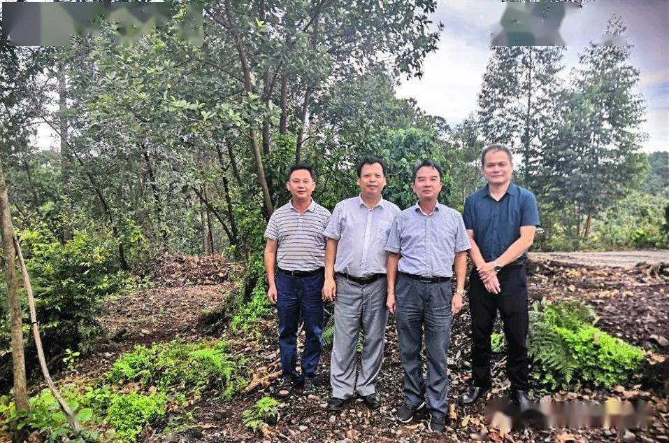 上思县政府到七坡林场考察交流