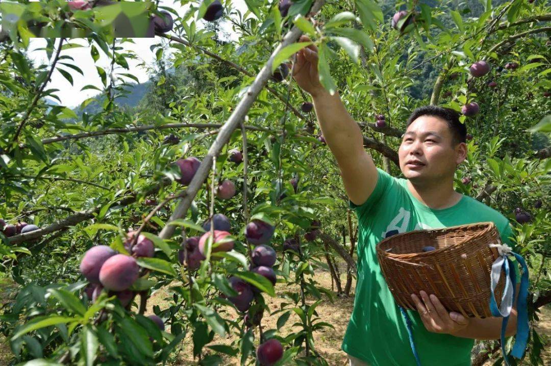 通辽保康多少人口_保康聚龙山海拔是多少(2)