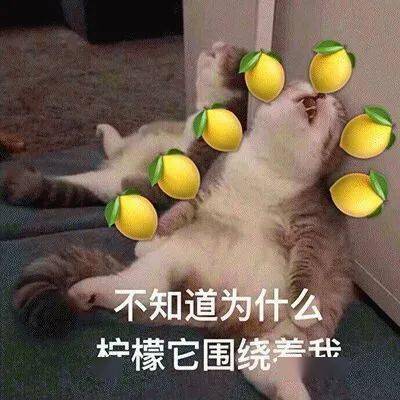 贵妇|宁静,快退出《乘风破浪的姐姐》!!