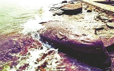 水位|古人如何防汛抗洪