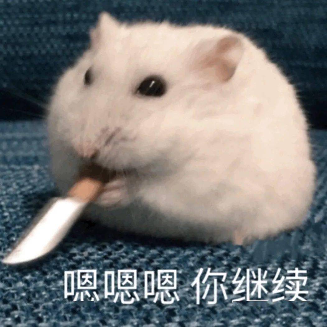 第54期喵表情 | "认识你真好,不认识更好!