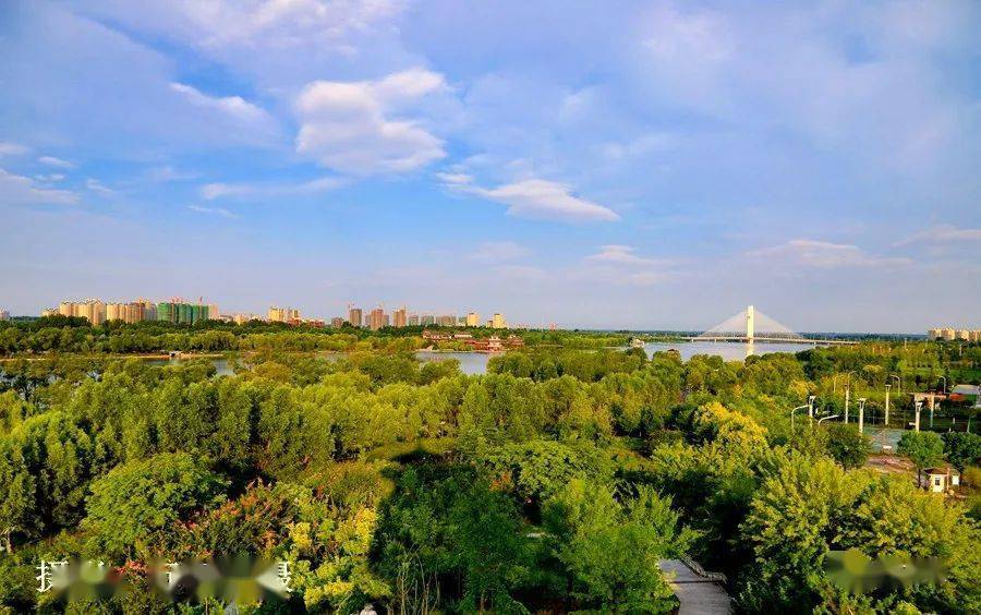 泗城 来自搜狐网