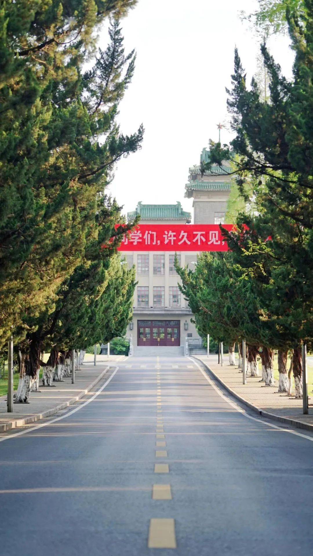 我在南农等你!2020年南京农业大学招生宣传片