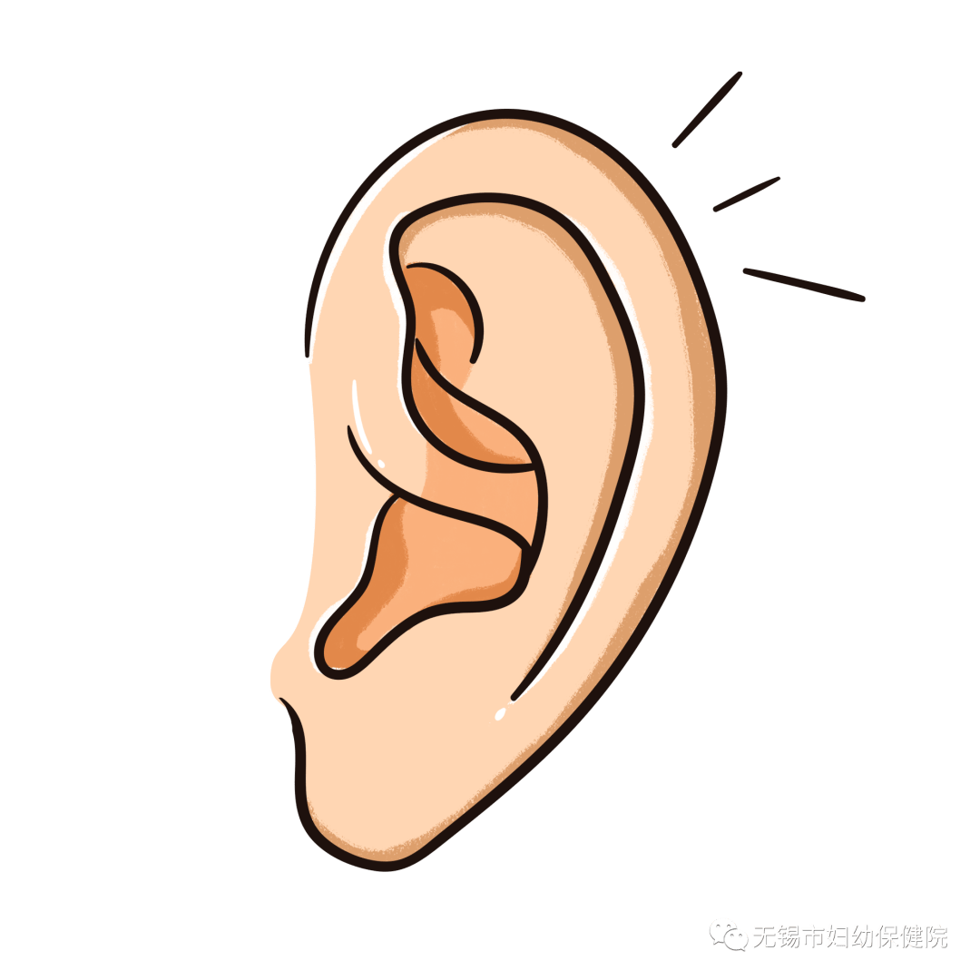 耳朵代表的器官图,耳朵五六腑的图,耳朵和五图片_大山谷图库