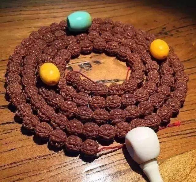 要点|菩提搭它，惊艳！