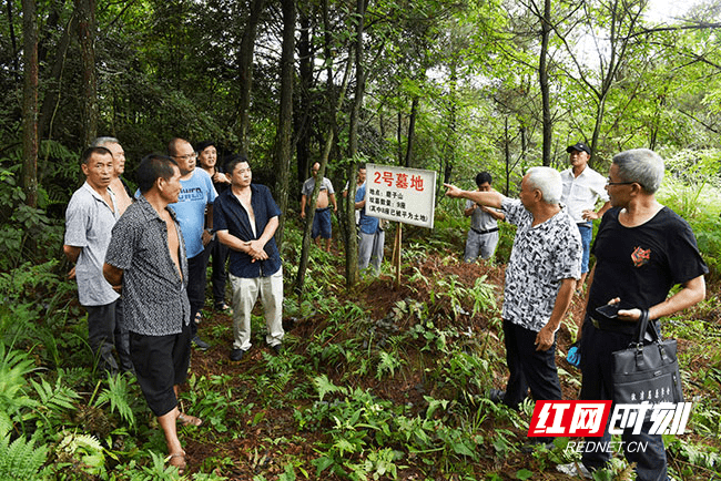 磨子山|溆浦发现48座红军坟墓