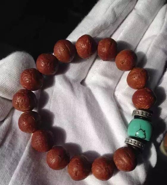 要点|菩提搭它，惊艳！