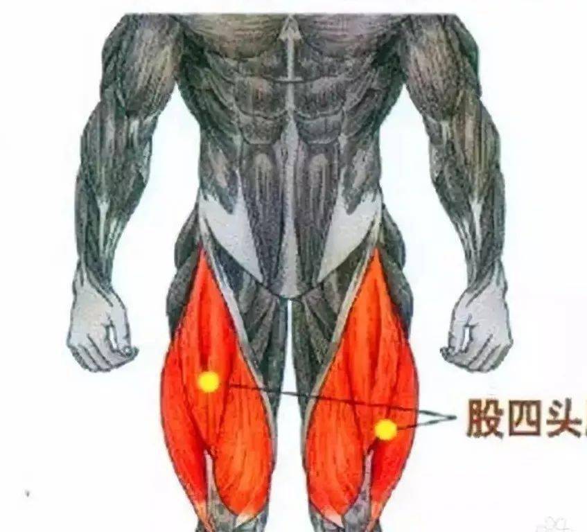 塑肌攻略