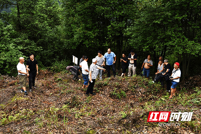 磨子山|溆浦发现48座红军坟墓
