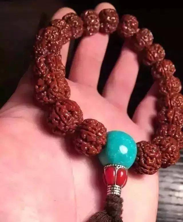 要点|菩提搭它，惊艳！