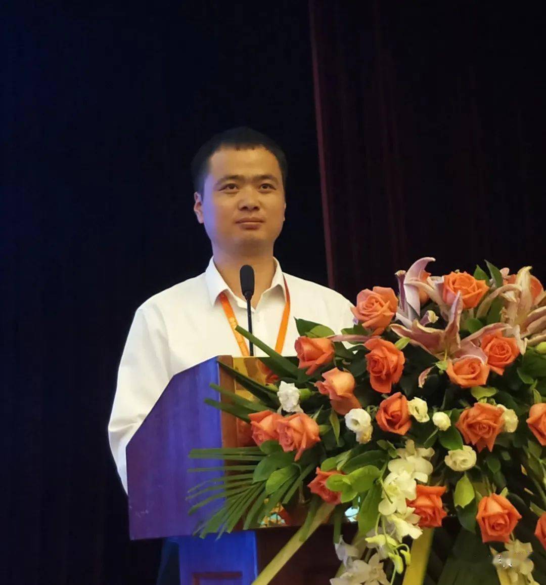 北京黎阳之光科技有限公司董事长 深圳市狮子王科技有限公司董事长