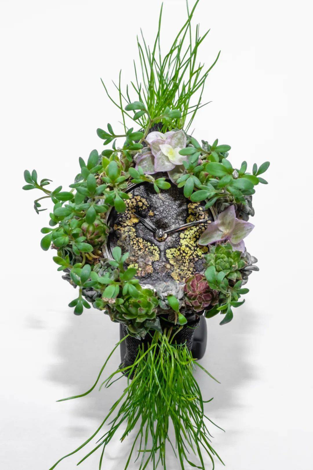 ������ⲨY2K����������!