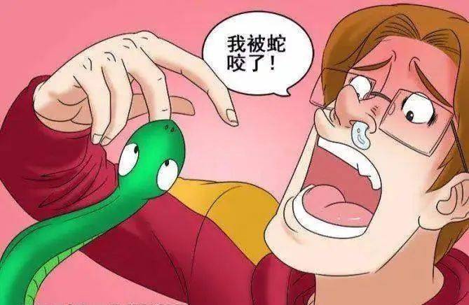 广西枯枝掉在车上司机随手拿起一看竟是条蛇还狠咬了他一口