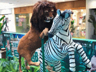 大象狮子惊现万家!50000门票免费送!世界珍稀动物博物