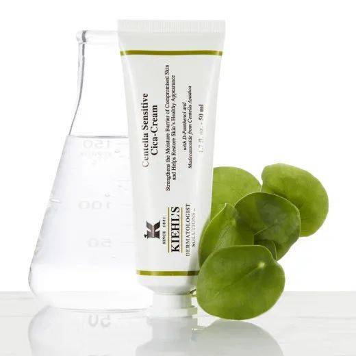 玫瑰|最近让我觉得好玩儿的事儿