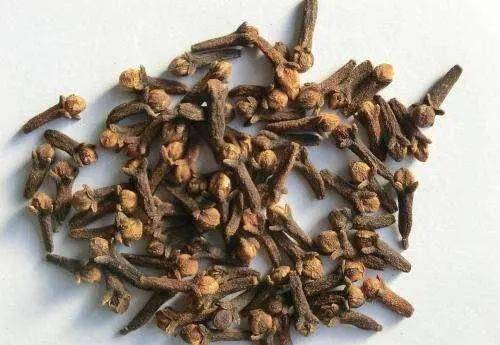 阿曼|原产亚洲的丁香，为何会取代黑奴成为东非小岛的支柱？