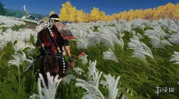 ps4末期独占大作《对马岛之魂(ghost of tsushima)》现已正式发售,本