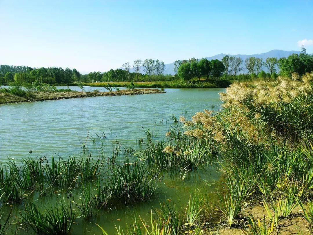 北京这个神秘低调的国家湿地公园,最近已恢复开放,赶快去预约吧!
