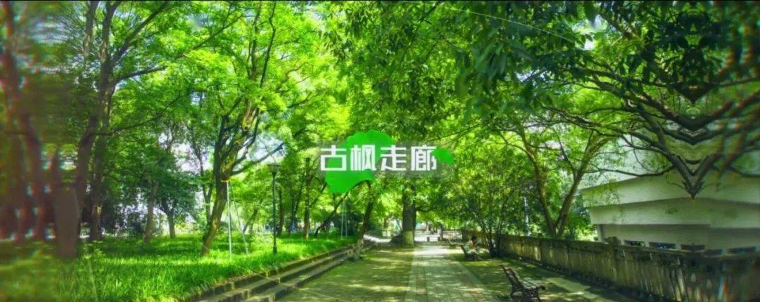 浙江农林大学"校园十景"宣传片,让选择浙农林的你提前爱上醉美的校园