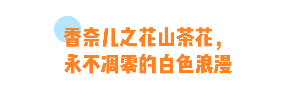 寓所|花16W买香奈儿值吗？值！！！