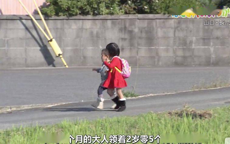 3岁小孩独自买菜，揭开了日本教育的残忍真相!