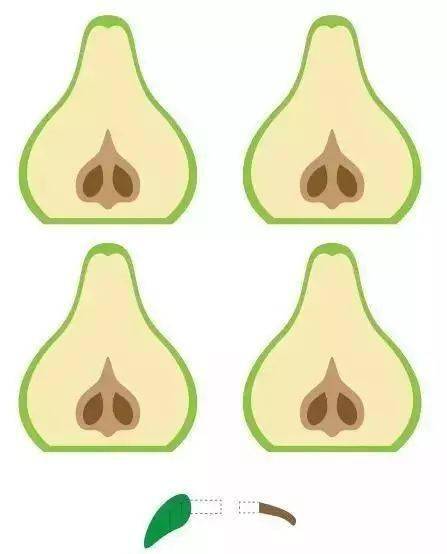 教程|孩子超喜欢哦！简单易学的水果手工教程一网打尽