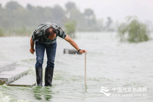 地区|专家：巢湖防汛关键是要迅速降低水位