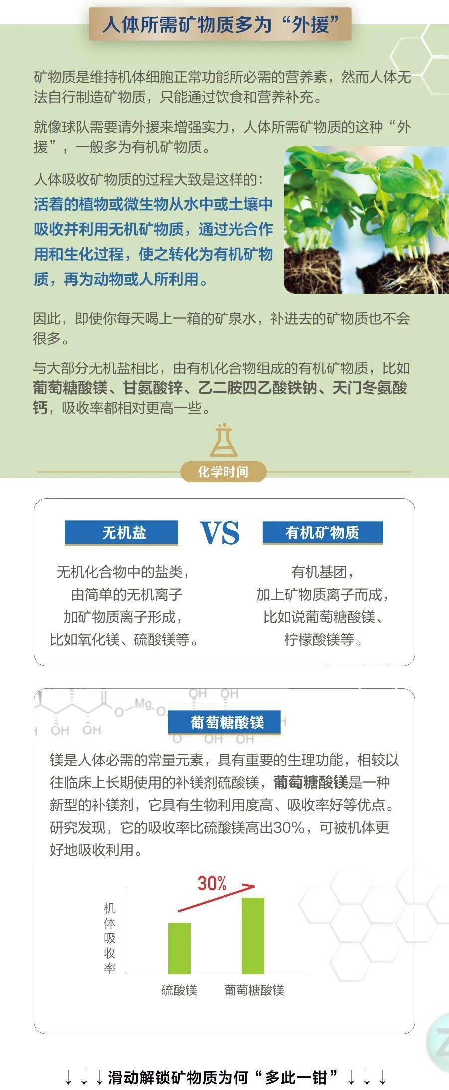 有机矿物质,就是好吸收!