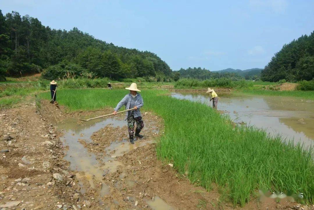 全南县各乡镇有多少人口(3)