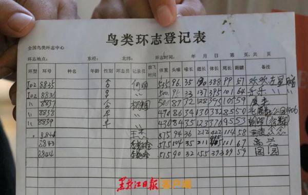 鸳鸯|哈尔滨鸳鸯咋拿到了中科院的“身份证”？