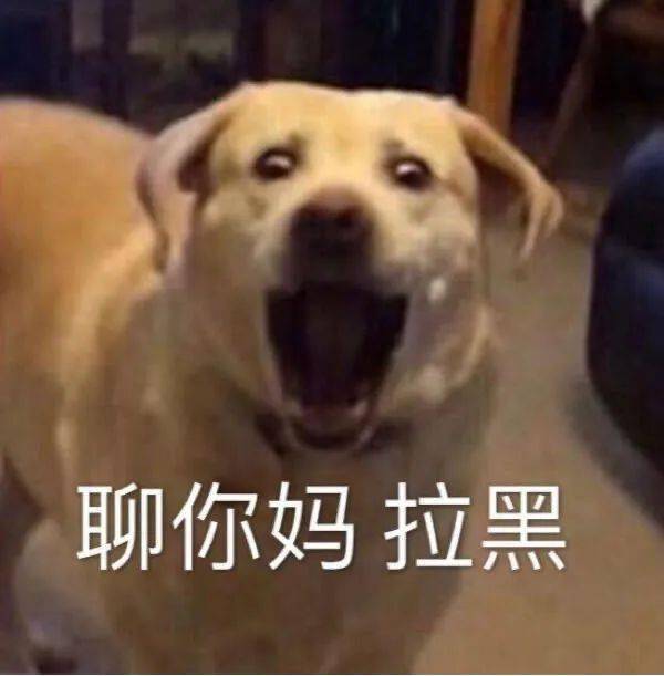 每晚准时沙雕表情包