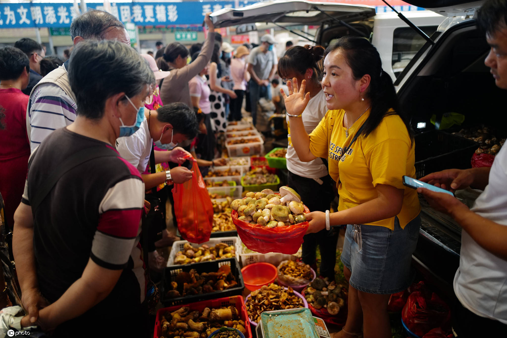 云南昆明|26000元降至200元！云南昆明松茸价格暴跌，市场买菌全靠“抢”！