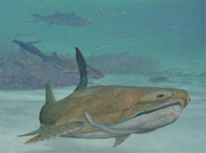 寒武纪生命大爆发的生物排行榜 cbf59a6cbaf541b981ea62fef53b04ad.jpeg