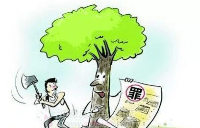 ce673751a6fb4b08835407deb4da94e1.png